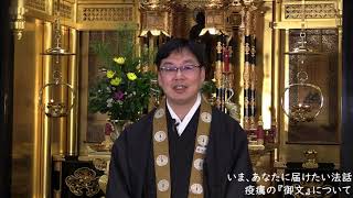 教えにふれる動画