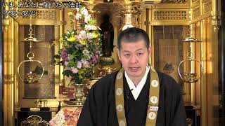 教えにふれる動画