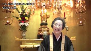 教えにふれる動画